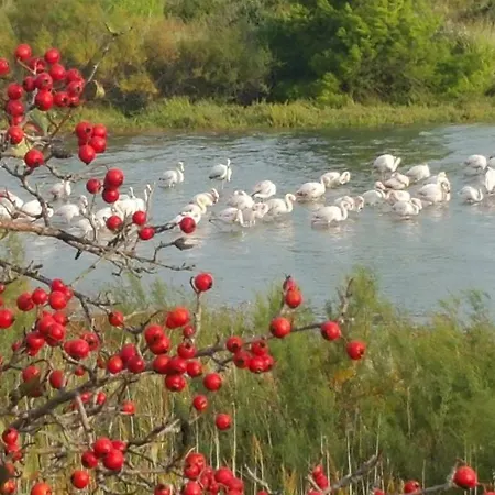 Rouge A La Climatisation Dans Toutes Les Pieces * Port-la-Nouvelle