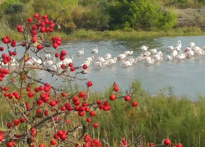 Rouge A La Climatisation Dans Toutes Les Pieces * 포르트라누벨